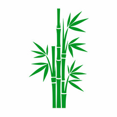 Fototapeta premium Green bamboo stalks with leaves vector illustration isolated on white background