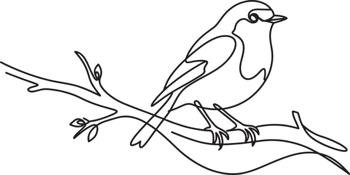 Bird sitting on a tree branch