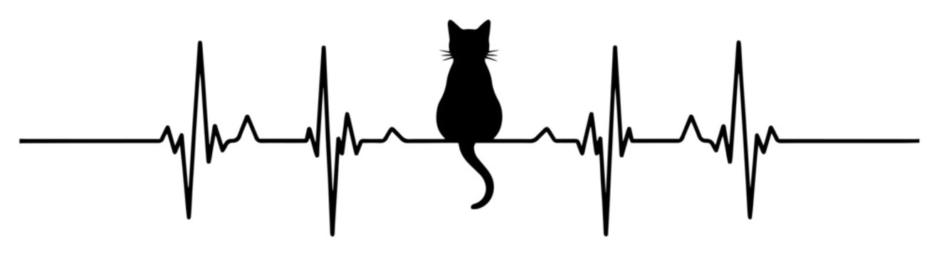 cat on a heartbeat lifeline vector silhouette