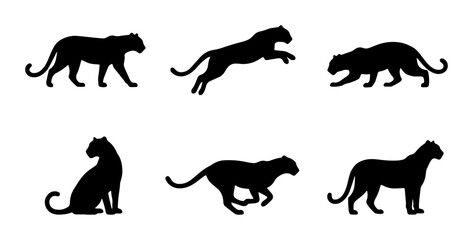 Black Panther Silhouettes Collection, Wild Cat Vector Icons, Feline Animal Poses Set, Graphic Design Elements © Mahmuda