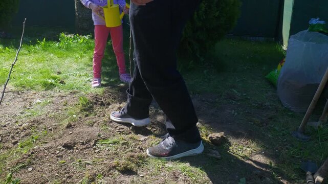 Multi-generational backyard gardening, with grandfather tamping soil, granddaughter waiting to water, and a shovel adding the final scoops of earth to a new plum sapling
