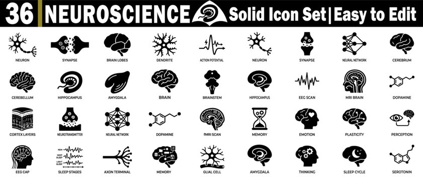 Neuroscience solid icon set. easy to edit. neuron, synapse, brain lobes, dendrite, action potential, cerebrum, hippocampus.