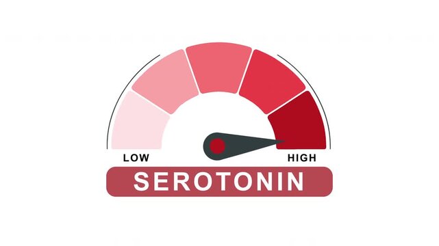 Serotonin Level Gauge Meter Animation Low to High Progress Indicator