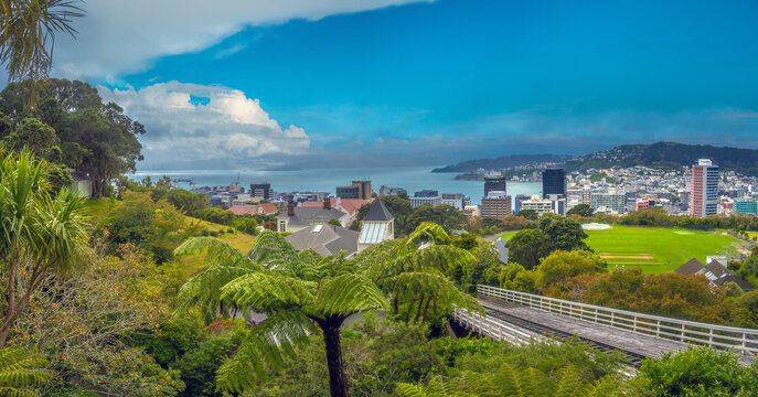 View of the capital city of Wellington, New Zealand, from the Botanic Gardens