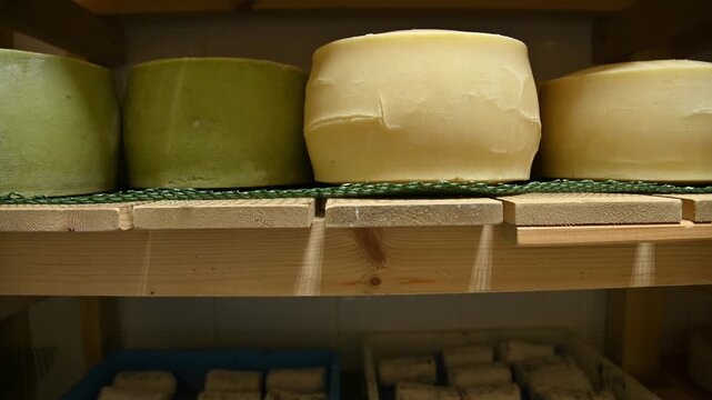 Cheese maturation process with various cheese types on wooden shelves