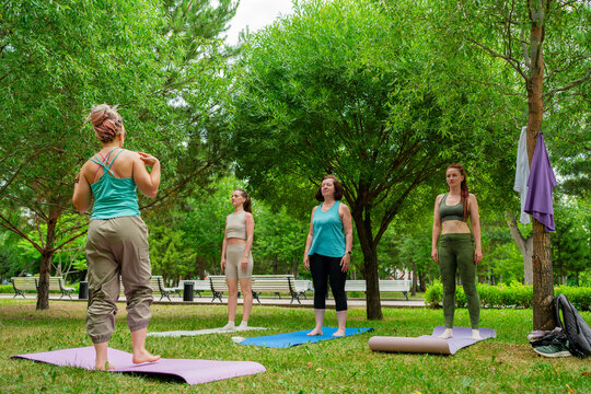 Women in sportswear crossing arms behind back warming up for yoga class in bright green park. Arms behind, warm-up, yoga, sportswear, park.