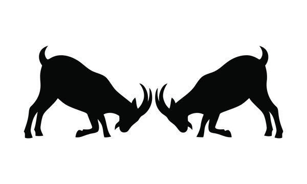 Two black goat silhouettes facing each other with heads lowered, depicting a powerful ramming or fighting action on a white background.