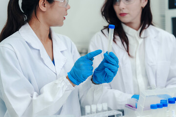 Fototapeta premium Two female scientists in lab coats and gloves analyzing test tubes, discussing discoveries in a modern laboratory environment