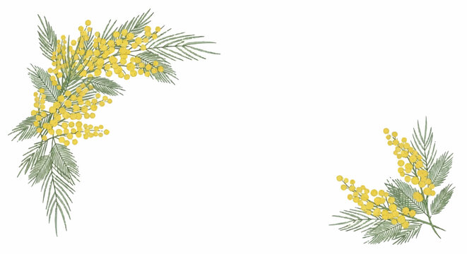 Watercolor Mimosa Flowers Corner Decoration.