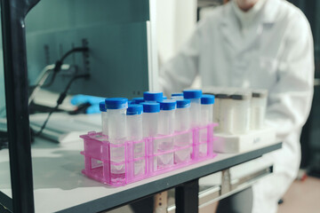 Fototapeta premium Laboratory tubes with blue caps in a rack on a desk with a blurred scientist working in a science lab