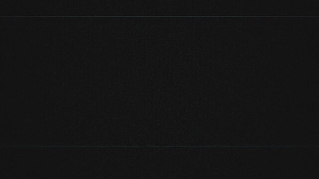 Thin noise texture with subtle static lines like an old television screen