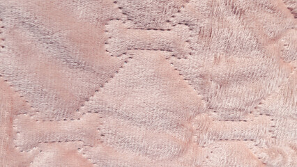 macro texture of pink plush pet blanket with bone pattern © irenka