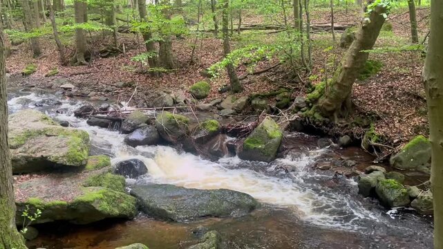 The Ilse is a 42.9-kilometer-long mountain river in the Harz Mountains and the Harz foothills; it originates in Saxony-Anhalt and flows into the Oker in Lower Saxony