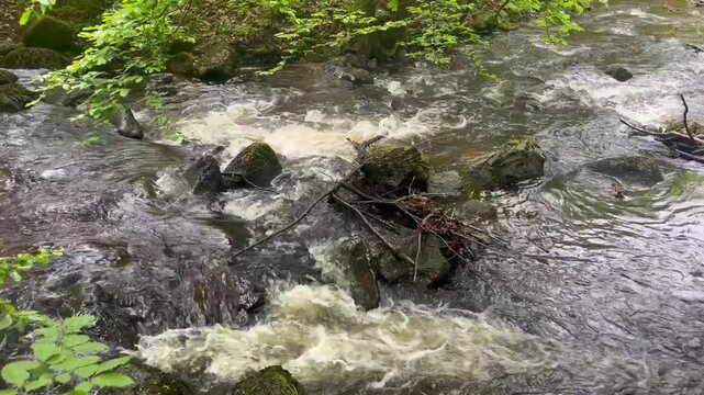 The Ilse is a 42.9-kilometer-long mountain river in the Harz Mountains and the Harz foothills; it originates in Saxony-Anhalt and flows into the Oker in Lower Saxony
