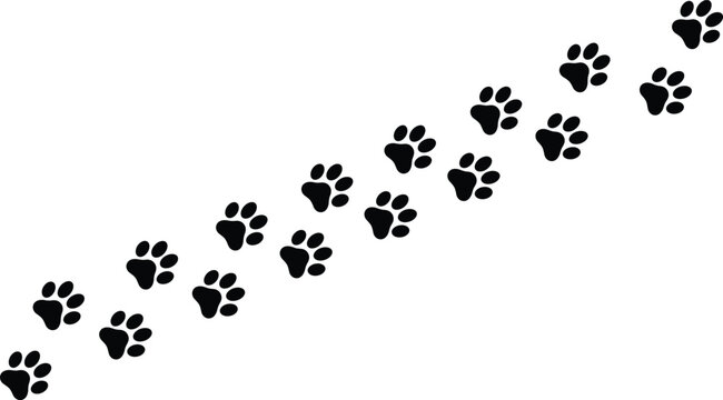 Animal Paw Print Trail Vector Illustration Featuring Diagonal Cat or Dog Footprint Track Silhouettes for Pet Veterinary and Wildlife Graphic Designs