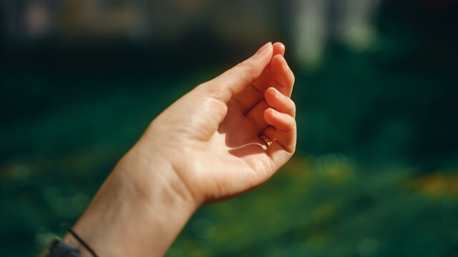 woman's hand in the sun in garden
