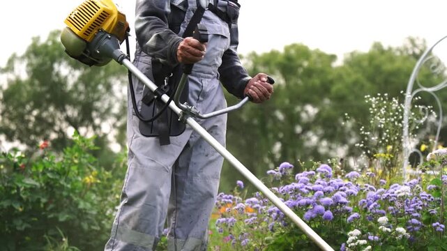 Worker holds trimmer with focused intent. Trimming greenery near purple flowers. Background includes garden arch and trees. Tool emits sparks during operation. Gardener stands firm, concentrating