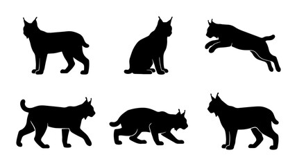 Lynx Silhouettes Collection: Wild Cat Poses, Vector Graphics for Nature and Wildlife Design © Shohag