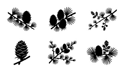 Pine Cone Vector Icons, Evergreen Branch Silhouettes, Nature Elements, Botanical Graphics, Winter Forest Design Assets © Shohag