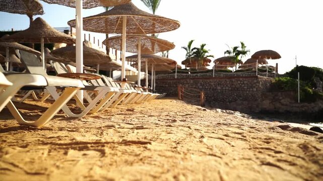 Golden sand meets sunlit beach loungers. Tall, straw umbrellas shade rows of white chairs. Warm, inviting glow bathes calm, quiet beach scene. Perfect for tranquil vacation or resort imagery