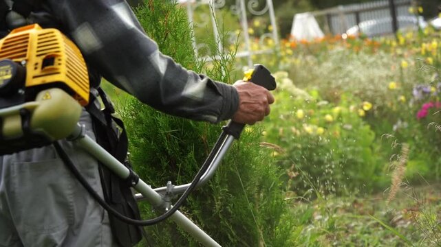 Worker cuts tall grass with motorized trimmer. Greenery sways as machine moves through garden. Worker grips handle firmly, focused on task. Perfect for landscaping or garden maintenance projects