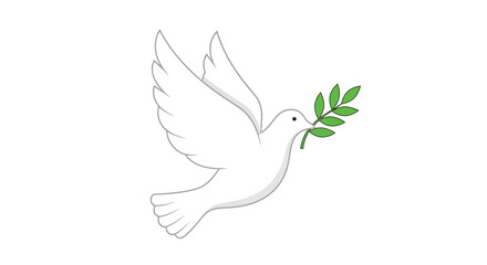 Fototapeta premium A white dove flies with a green olive branch in its beak.