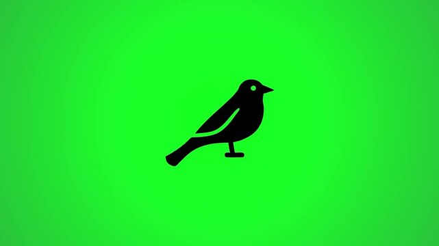 Minimalist black bird icon animation on vibrant green screen background with motion graphics and drop shadow effect