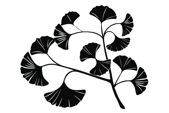 ginkgo branch silhouette line art vector illustration