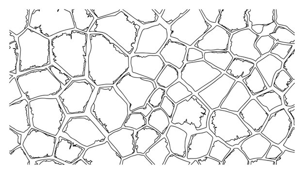 Cracked earth ground texture or dry soil pattern in organic line art style