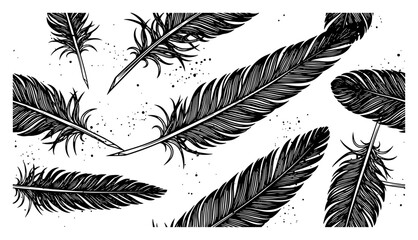 Bird feathers with ink spatters and detailed etching in vintage engraving style © Anna