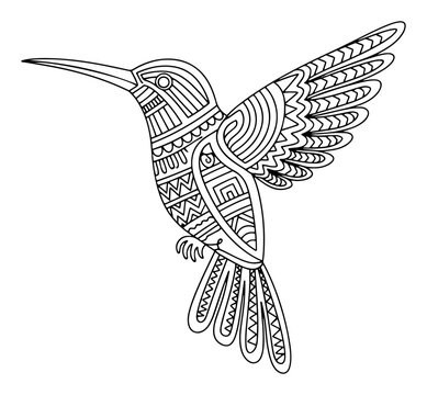 Hummingbird with intricate floral and geometric patterns in detailed line art style