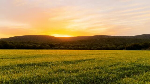 Golden Glow Over Expansive Landscape. Warm Evening Light Bathes Vast Green Terrain Peacefully