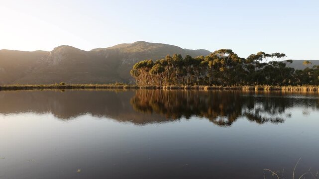 placid pond  and tree reflections, Stanford, South Africa