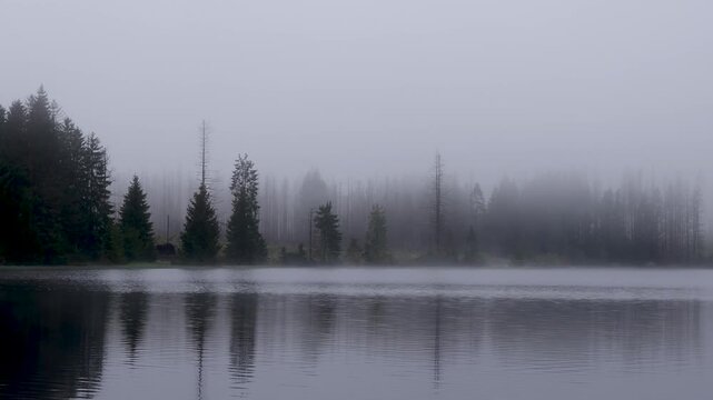 Nebelstimmung am Fortuner Teich im Harz