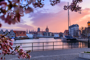 Spring flowers blooming on the trees over the Motlawa river in Gdansk. Poland © Patryk Kosmider