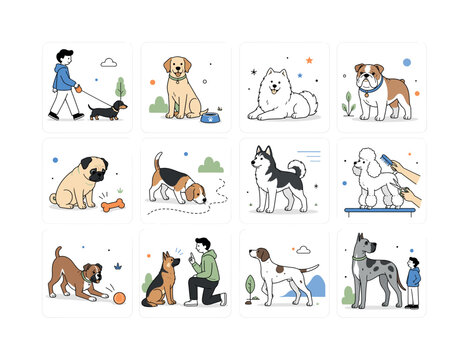 Dog Breeds. Dog breed collection, dachshund, labrador, samoyed, retriever, bulldog, pug, schnauzer, beagle, doberman, husky, poodle, boxer, german shepherd, great dane, hound, hunting dog, pointer and