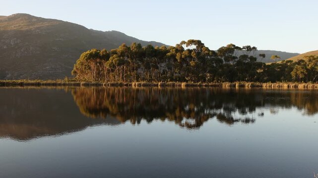 placid pond  and tree reflections, Stanford, South Africa