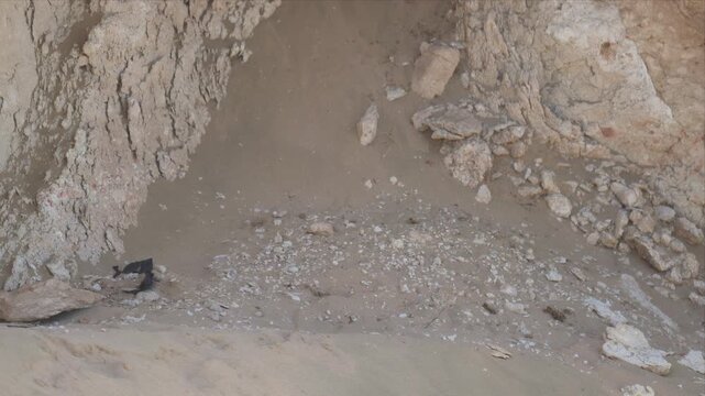 Close up video of a Pharaoh eagle-owl huddle close, sheltered by rugged stone walls and relaxing. Feathered bodies rest, blending into earthy tones. Gentle eyes closed, calm and still, as if dreaming.