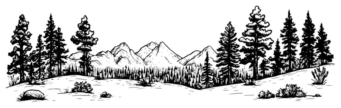 Mountain forest landscape hand-drawn vector sketch Engraved style wilderness with pine trees and mountains