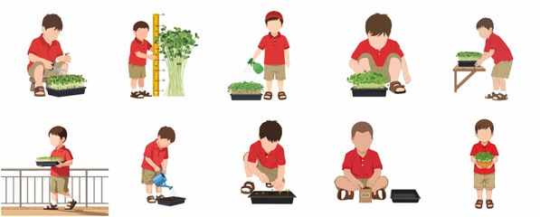 Fototapeta premium Boy Gardening and Growing Microgreens Set, Planting Seeds, Watering, Measuring, and Harvesting Healthy Sprouts Vector Illustration