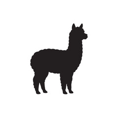 Fototapeta premium silhouette of alpaca, black and white