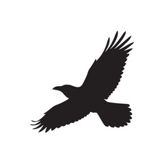 Fototapeta premium flying raven in the sky, black and white