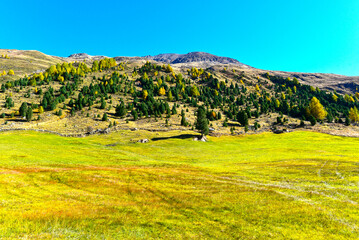 Blick über alpine Bergwiesen im herbstlichen Langtauferer Tal in Südtirol © Ilhan Balta