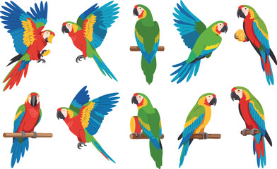 Vibrant parrots collection macaws green and red blue yellow feathers colorful tropical birds. © Zahangir