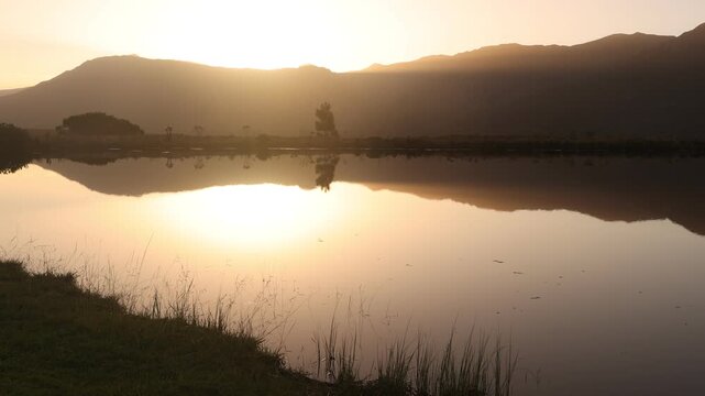 placid pond  and tree reflections, Stanford, South Africa