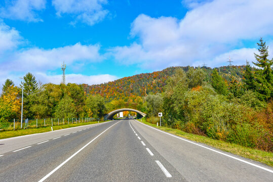 Fahrt auf der Fernpassstra&szlig;e B179 in Tirol unter einer Gr&uuml;nbr&uuml;cke (Wildunterf&uuml;hrung) vor Grenztunnel F&uuml;ssen im Herbst
