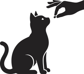 Black cat sitting and looking up at a human hand offering a treat © Md Imran