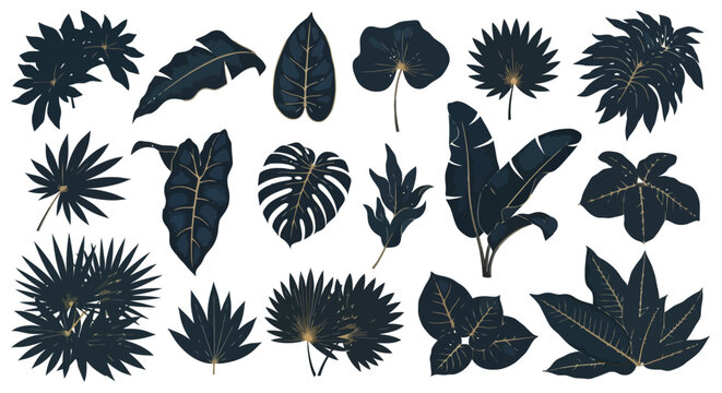 Tropical Leaf Silhouettes - A Collection of Exotic Foliage Designs.