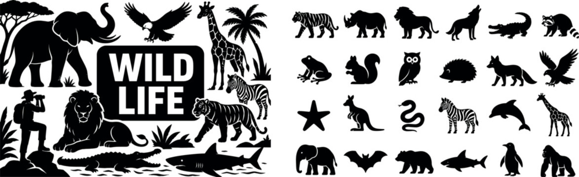 Wild Animal Kingdom. Clean solid filled banner composition of a wildlife scene with one explorer beside an oversized lion and elephant, tiger, giraffe, crocodile, eagle, zebra, shark arranged across