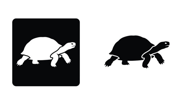 Simple black and white graphic illustration showing a turtle silhouette in a clean artistic style